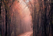 塞尔维亚迎战卢森堡，备战友谊赛