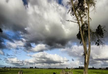 葡萄牙选手勇夺金牌，表现抢眼