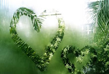 阿尔梅里亚客场小胜，止住连败势头