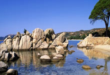 捷克险胜荷兰，双方实力对比明显