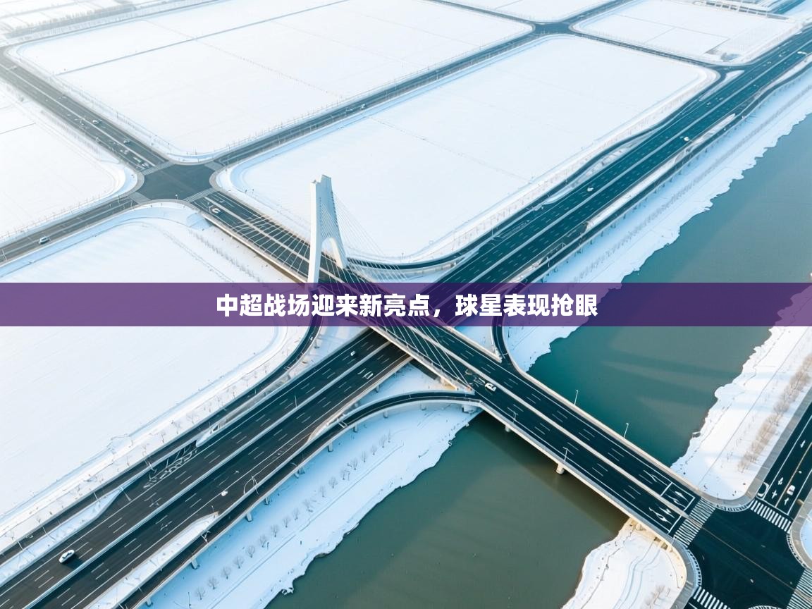 中超战场迎来新亮点，球星表现抢眼  第2张